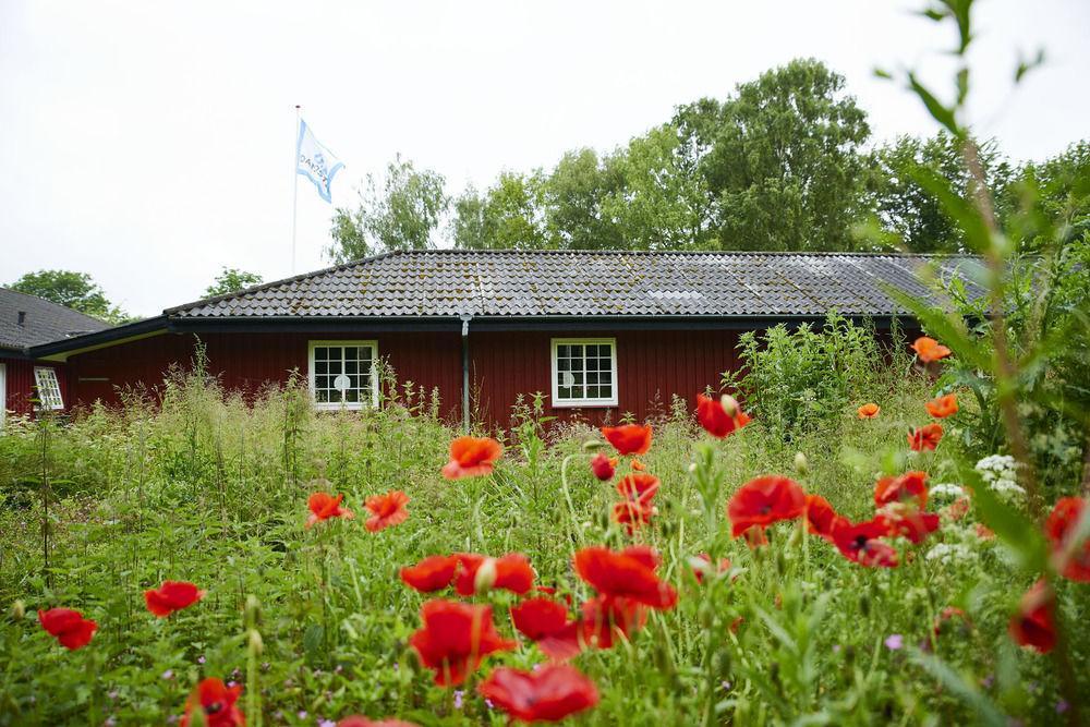 Kerteminde Hostel Экстерьер фото